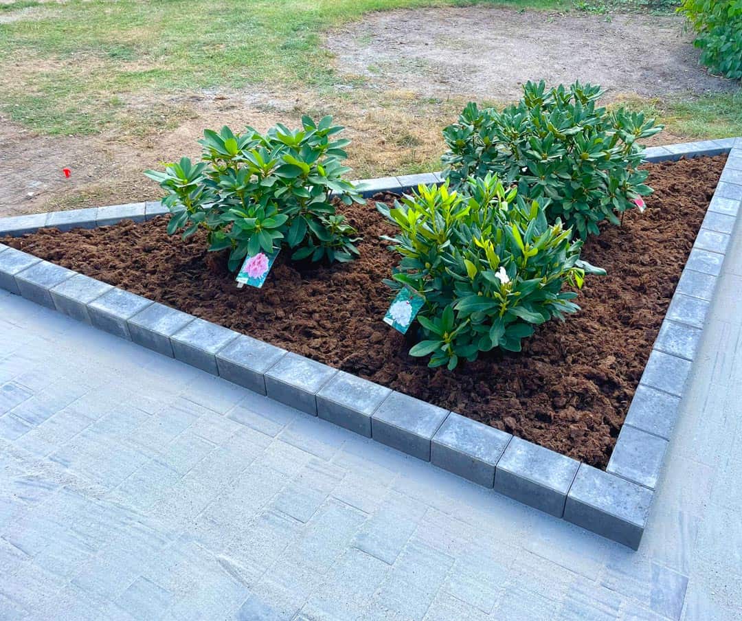 Planter i et bed